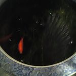 てっぱん大吉 小島店 - 外にいる金魚