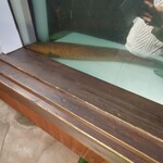 池田湖パラダイスレストラン菜の花 - 料理写真: