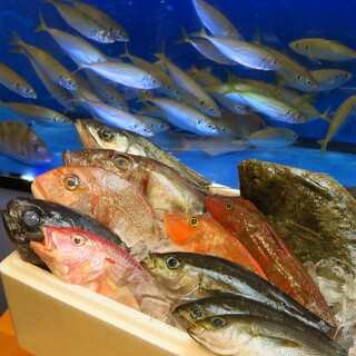 [restaurant with fish tank] We offer live fish!