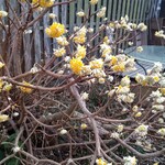 珈琲屋まめは - 