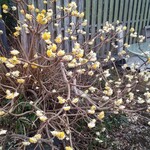 珈琲屋まめは - 