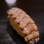 寿し処 寿々 - 茹（）ゆで上（あ）げ蝦蛄（しやこ）