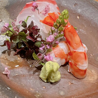 銀座 稲葉 - サイマキに軽く油を振りかけました。いわゆる油霜仕立て、と言うのだそうです