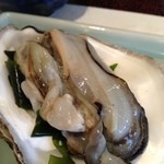 新潟 日本橋 - 生牡蠣