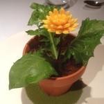 ブレストンコート ユカワタン - なんとティラミスです
      鉢以外は全部食べられる