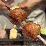 とり茶太郎 - 宮崎地頭鶏120日と270日MIXソリレス