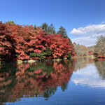 Kouraku - 軽井沢の秋は最高ですね！