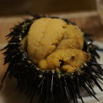 千松しま - 塩釜、七ヶ浜産の紫ウニ