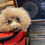 THE NUTS EXCHANGE - 比較的ご機嫌ｗ