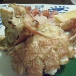 望楼NOGUCHI函館 - 北海道産毛蟹　造り