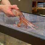 魚ト肴いとおかし - 