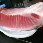 すし処 錦 - 大間のマグロ　一本釣り