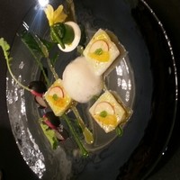 ガストロノミー ジョエル・ロブション - アオリイカ コンフィ