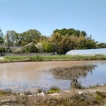 BISTY - 水の張った田圃は綺麗ですね。