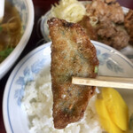 ラーメン日本一 - サクサク揚げ餃子