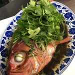 Steamed fish (reservation required) (golden sea bream, green sea bream, etc.)
