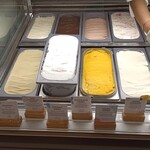 Birds of Paradise Gelato Boutique - 冷ケース