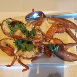 JUMBO SEAFOOOD - Steamed Boston Lobster with Chinese Wine and Egg White (500g)
