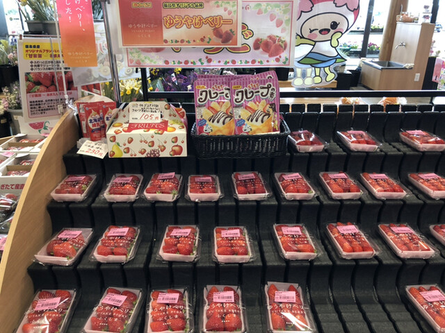 あぐりあ - 安積永盛（その他）の写真