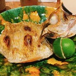 燕 - ノドグロの焼き物