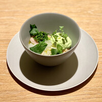 マンサルヴァ - 