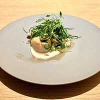 マンサルヴァ - 