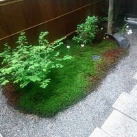 木山 - 