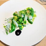 La Brianza - アオリイカ炙りそら豆イカ墨のソース。アオリイカの炙りの香り最高美味しい〜この香りだわ〜 濃淡の緑色が素敵☆* お野菜の火入れもジャスト味わい濃いわ(≧∇≦)b