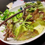 肉料理ふくなが - サラダ