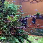 お料理なかき - 