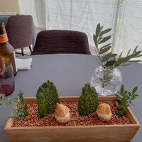 プレヴナンス - 