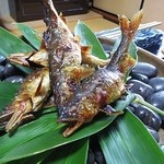 焼き物　鮎塩焼き