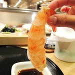 おたる政寿司 - ボタン海老