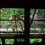 野土香 - 窓の下には小川が流れています