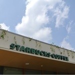 スターバックスコーヒー - 