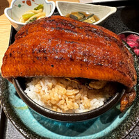 焼きふぐ 優ふく 北新地店 - 