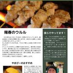 大和 笑う焼き鳥屋 ウルル - 焼き鳥ウルル通信2023.4号