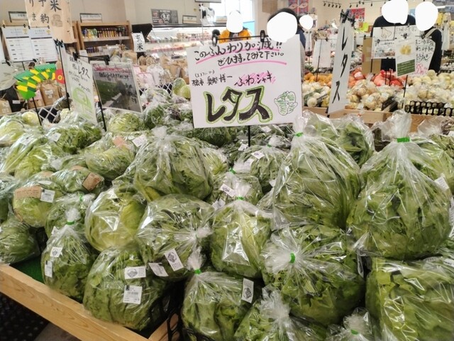 Shun no Eki Narayama photo 2