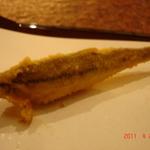 京都祇園 天ぷら八坂圓堂 - 