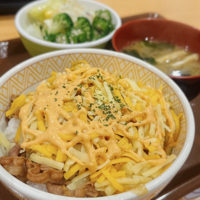 すき家 7号能代店 - 能代（牛丼）の写真