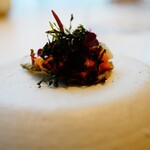 レミニセンス - 雲丹