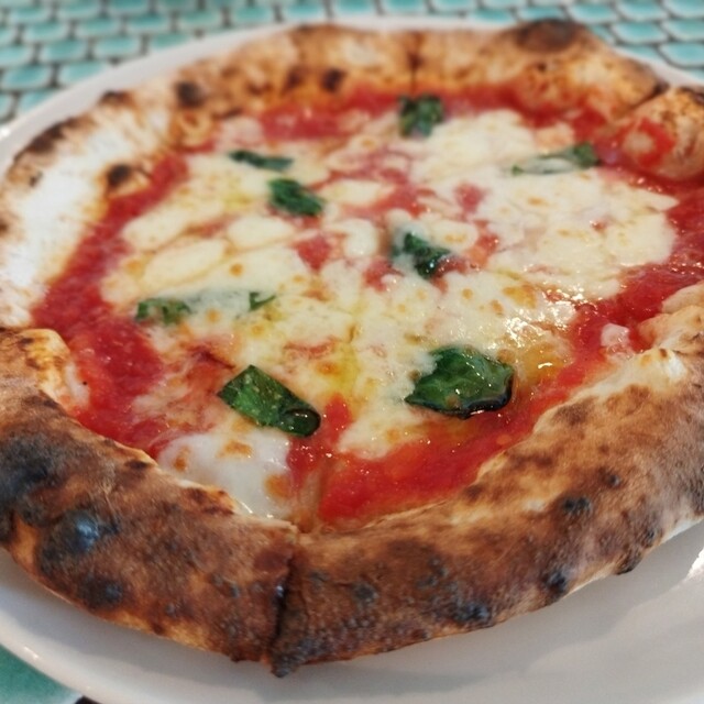 TRATTORIA il Campo da SHIGE photo 5