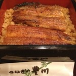 うなぎの豊川 - うな重