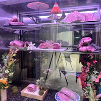 東京焼肉 平城苑 銀座5丁目店 - 
