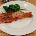 La Stalla - 北海道　羽幌直送の赤海老　えんどう豆新芽のサラダ　ブラッドオレンジ