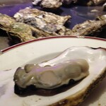 杜のかき小屋 - 