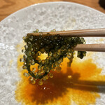 鮨 みつよし - 海ぶどうも卵黄で