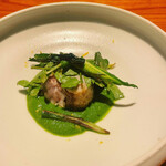 トムクリオーザ - 