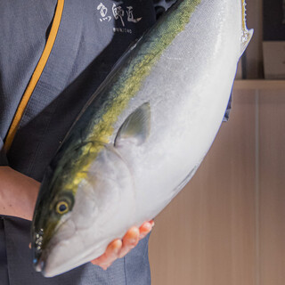 旨味倍増！氷温で熟成した「氷熟ぶり」の美味しさを体感