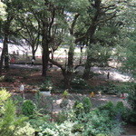 日比谷松本楼 - 窓からの景色